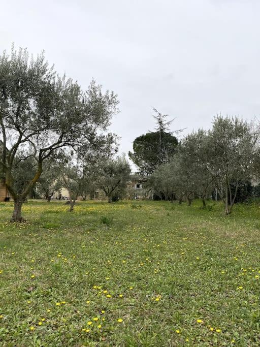 Bed and Breakfast Le Nomade En Provence Bouchet  Экстерьер фото