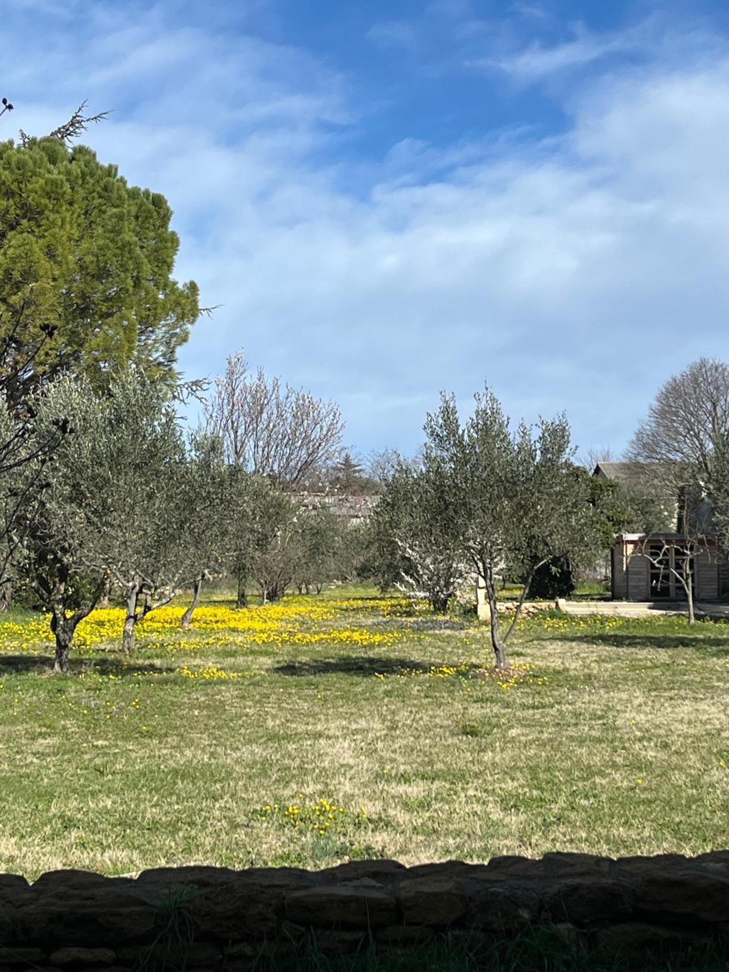 Bed and Breakfast Le Nomade En Provence Bouchet  Экстерьер фото
