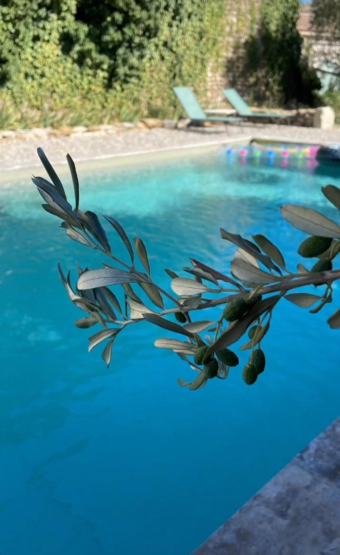 Bed and Breakfast Le Nomade En Provence Bouchet  Экстерьер фото